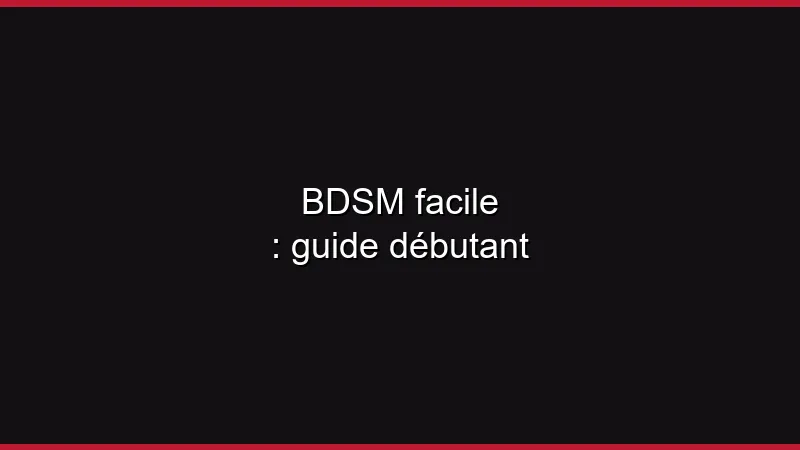 BDSM facile : guide débutant
