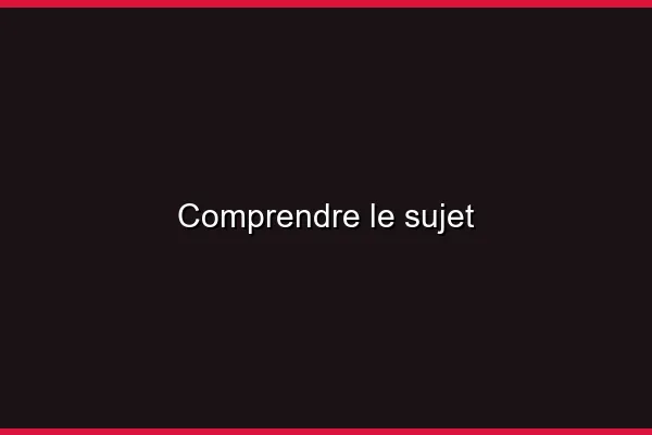 Comprendre le sujet