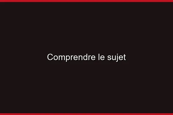 Comprendre le sujet