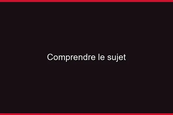Comprendre le sujet