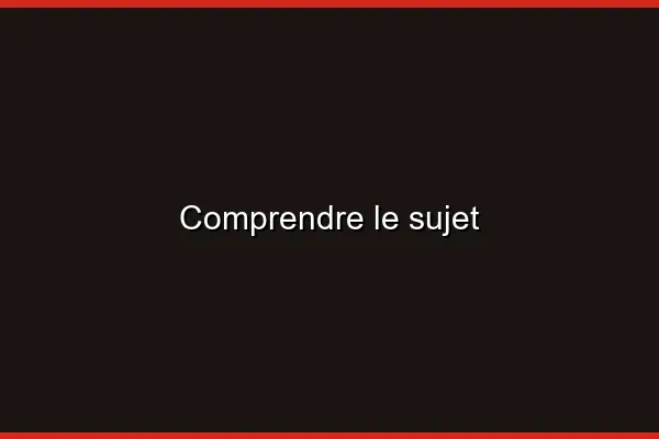 Comprendre le sujet