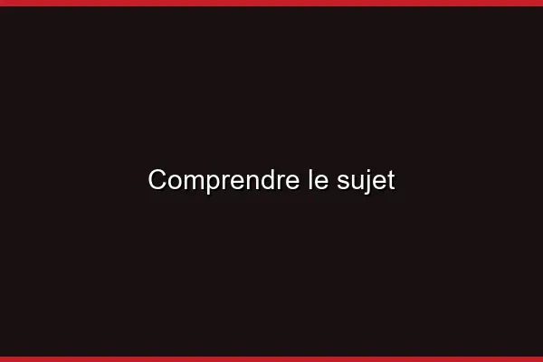Comprendre le sujet