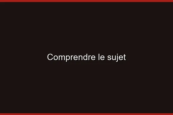 Comprendre le sujet